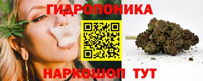 каннабис Камышлов