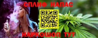 дживик Кандалакша